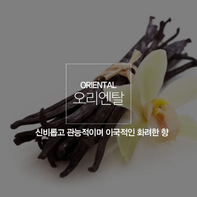 여자들이 선호하는 남자 향수 | 인스티즈