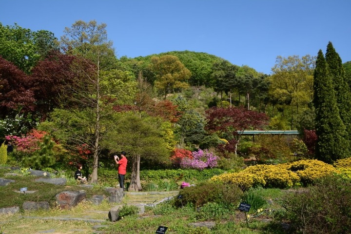 한택식물원 이미지