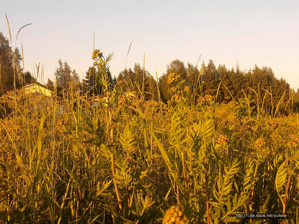 265DF435578395F71E184B