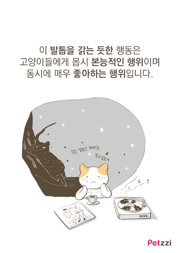 고양이가 긁는 이유(만화).jpg | 인스티즈