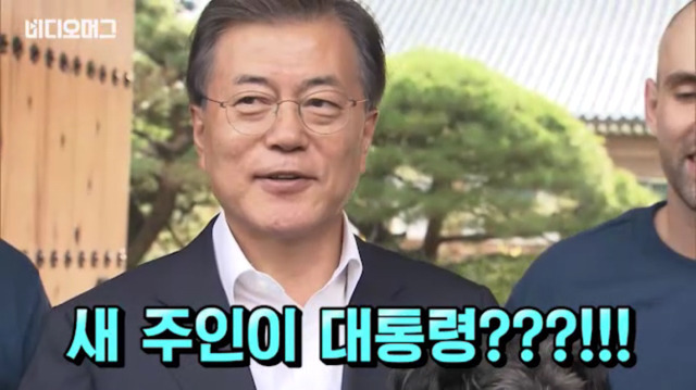 토리가 새마약방석이 맘에 들었나보다(영상） | 인스티즈