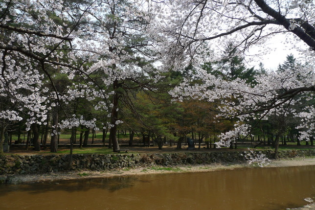 속리산동행 이미지