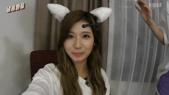 고양이의 마음이 되어버린 트와이스.gif | 인스티즈