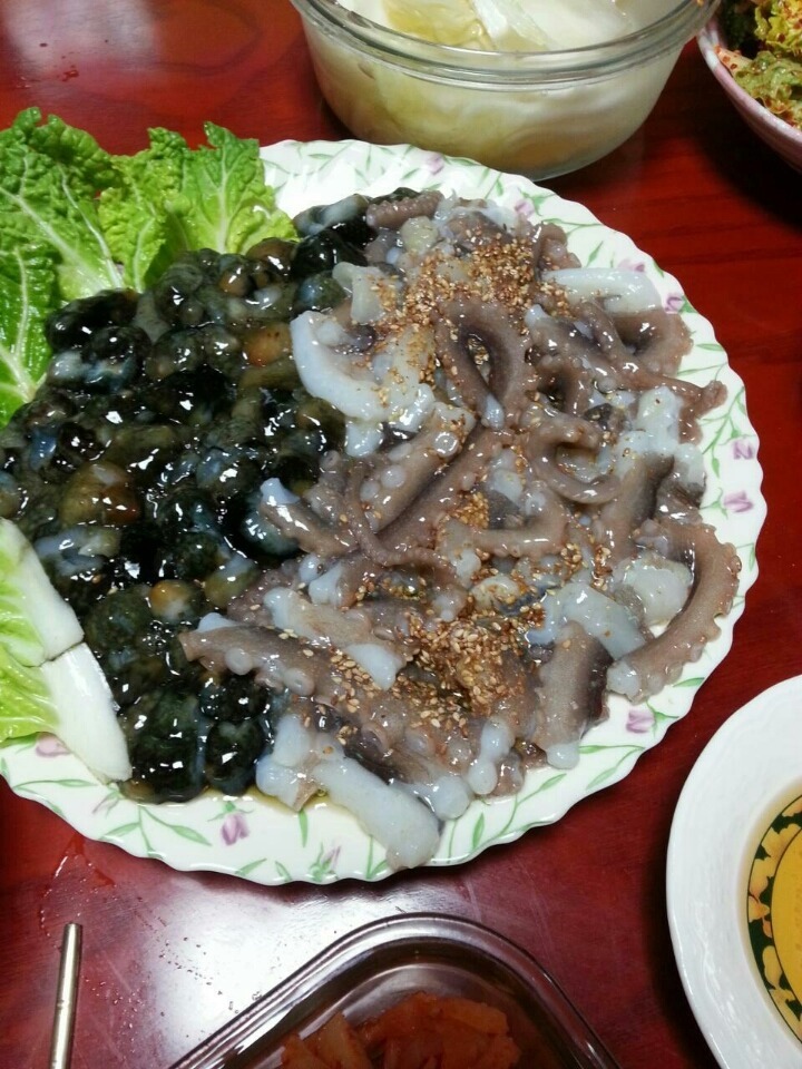 해삼 이미지