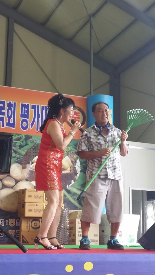 순정감자 이미지