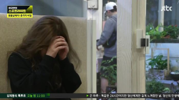 개 50여마리를 담뱃불로 지지고 던지고 매질해 살해한 남고생 7명.jpg | 인스티즈