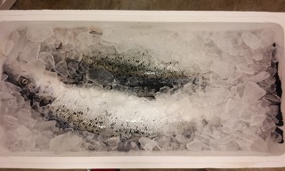 05수산 이미지