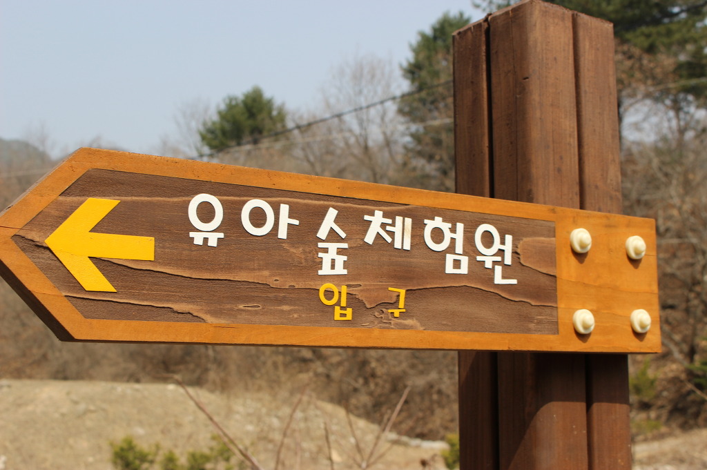 화백나무 유아숲체험원 이미지