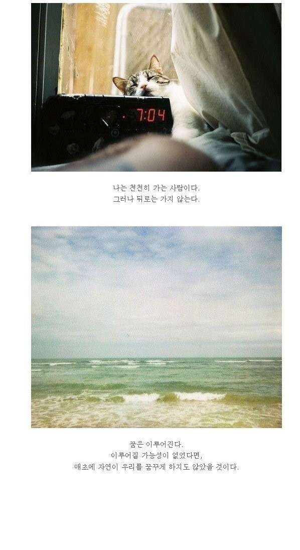  인생을 비관하고 있는 당신을 위해 | 인스티즈