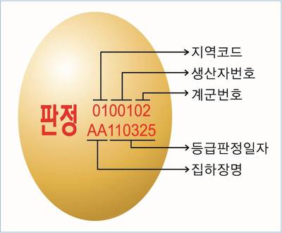싱싱계란 이미지