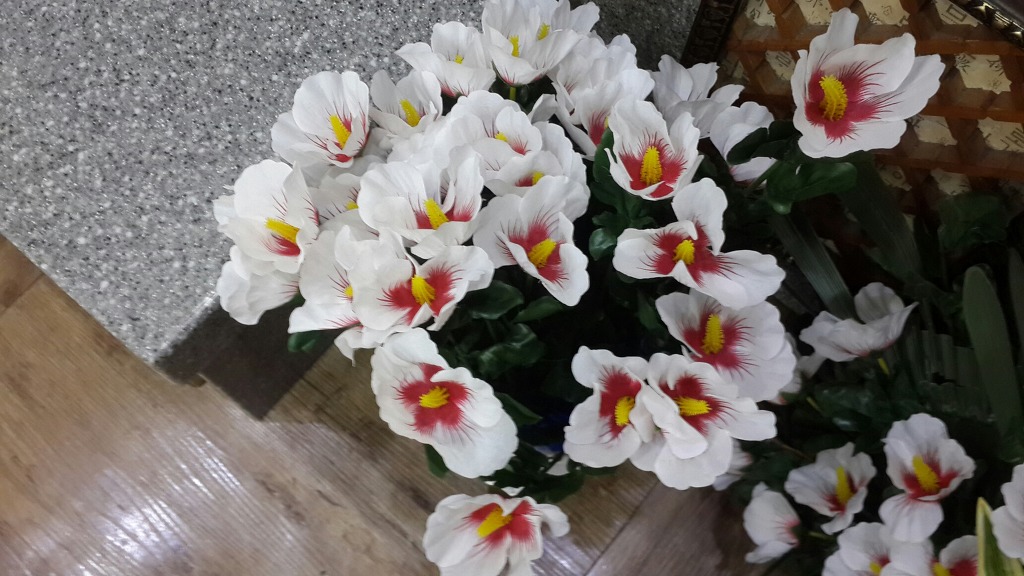 함평장례식장 이미지