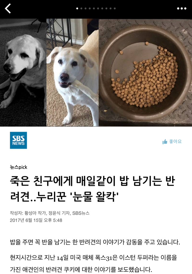 매일, 밥 이미지