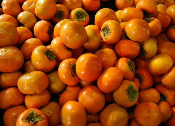 젊은이들은 그닥 좋아하지 않는 과일.jpg | 인스티즈