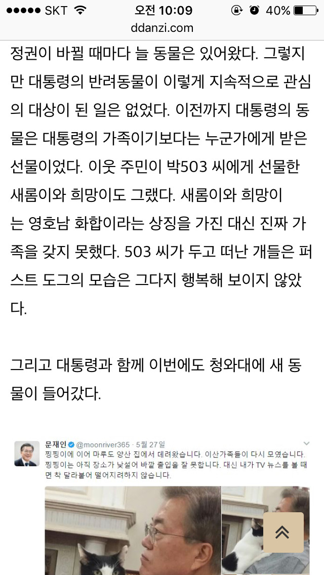 이너뷰] 문재인 정부의 막강 권력 : 퍼스트 독 토리 긴급 인터뷰 | 인스티즈