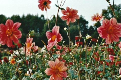 너와 눈이 마주칠 때면 내겐 그 순간이 영화였다 | 인스티즈