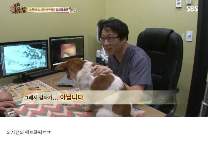 잃어버린 개를 3년만에 찾은 아저씨 | 인스티즈