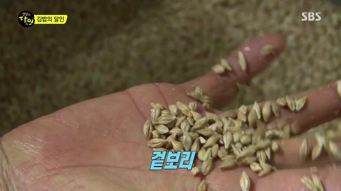 전주 마약 김밥의 달인.jpg | 인스티즈