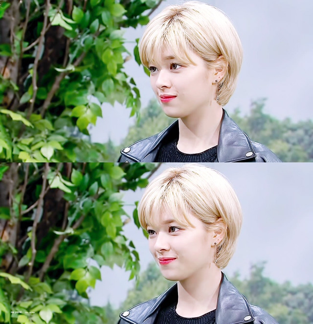 매니아층 취향저격하는 트와이스 멤버.jpg | 인스티즈