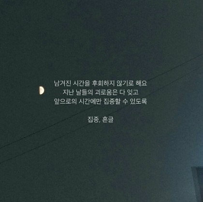 바라기 이미지