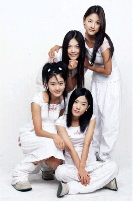 핑클 이미지