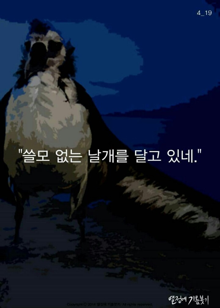 알바트로스 이미지