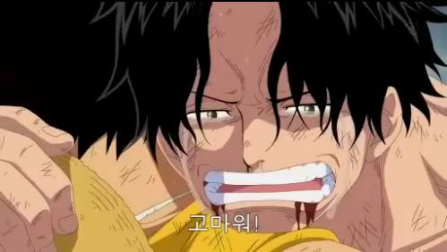 감동적인 만화캐릭터 원피스 vs 나루토 | 인스티즈