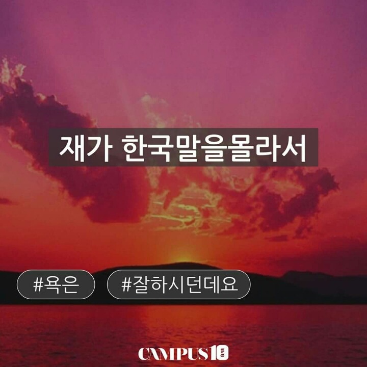 조별 과제에 없었다면 내 건강에 조금 좋았을것같은 친구들 | 인스티즈
