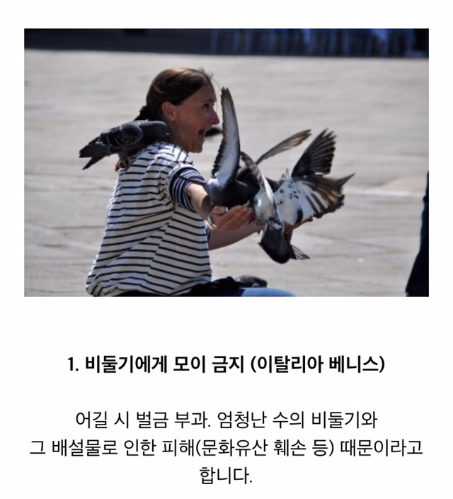 실제로 있는 각 나라의 금지법 | 인스티즈