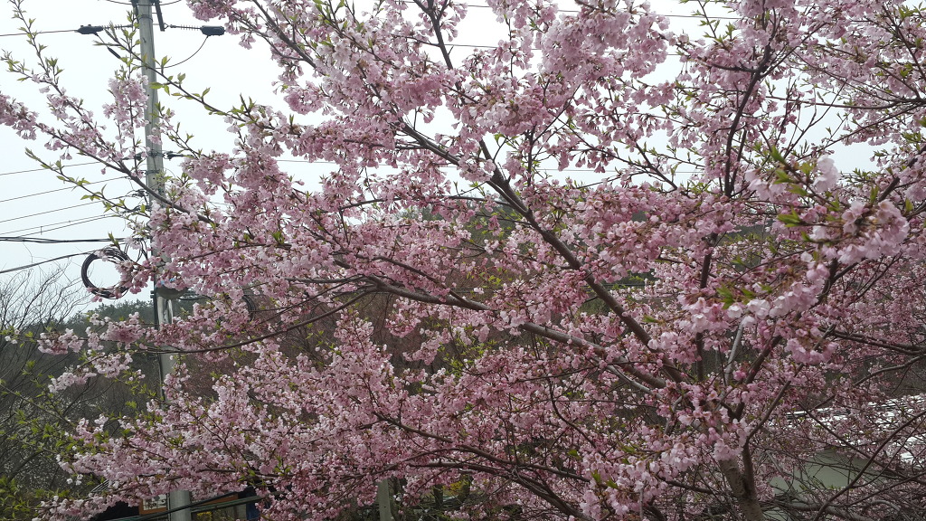 (주)예성 이미지