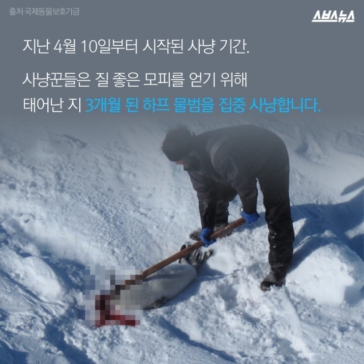  코리아 미워요 | 인스티즈
