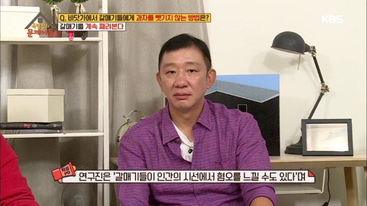 갈매기에게 과자를 빼앗기지 않는 방법 | 인스티즈