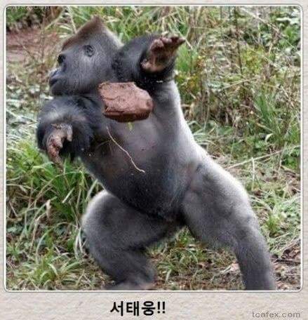 제목학원 레전드 모음.jpg | 인스티즈