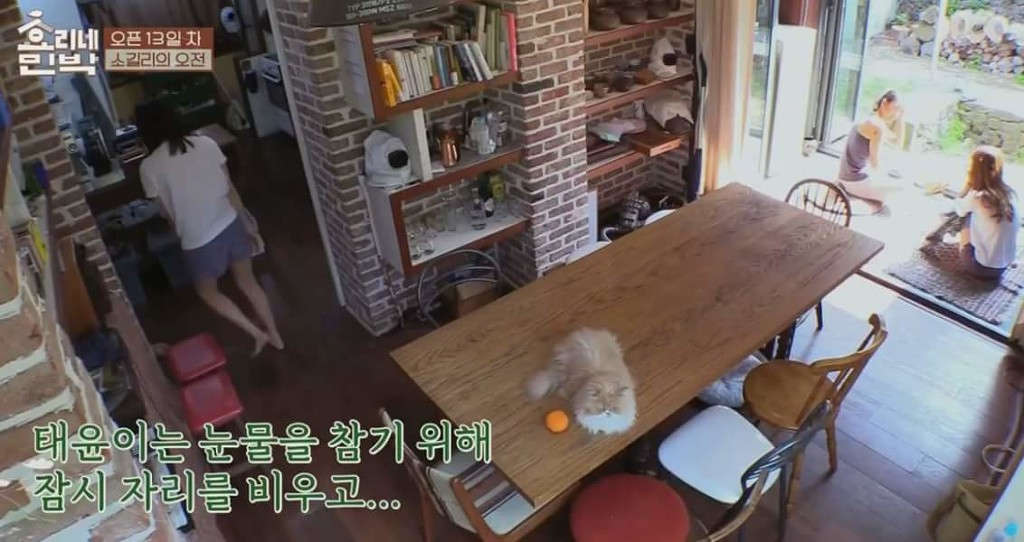 [효리네민박] 공감갔던 손님의 고민 그리고 이효리의 조언 | 인스티즈