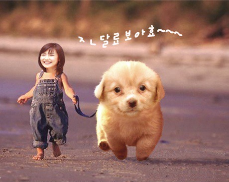 헤롱 이미지