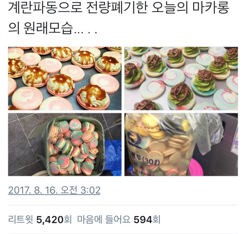 계란 파동에 대한 어느 카페의 대응 | 인스티즈