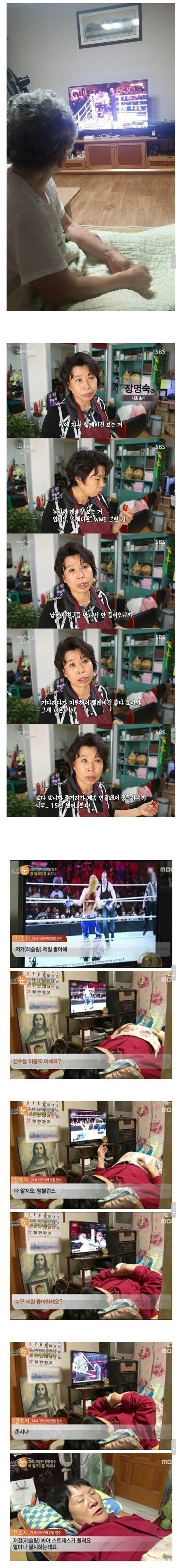 할머니들이 의외로 좋아하는 프로그램.jpg | 인스티즈