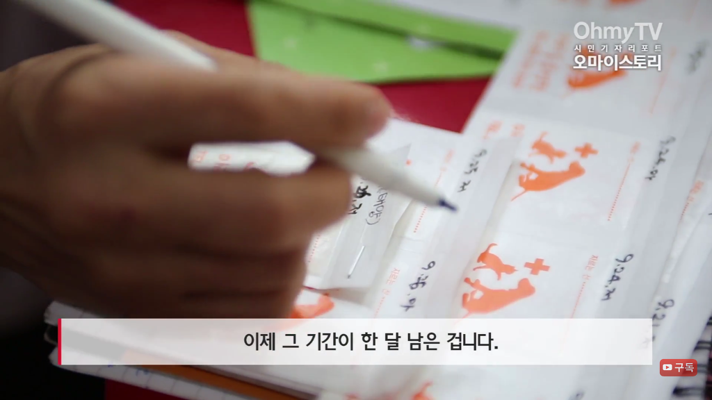 마산 애니멀 호더에게서 구조한 50여마리의 고양이들에게 손길을 내밀어주세요! 곧 쉼터가 폐쇄되어 아이들이 갈 곳이 없습니다 | 인스티즈