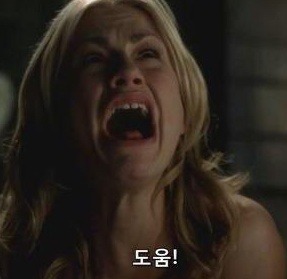 집사랑 놀다가 절박해진 고양이 | 인스티즈