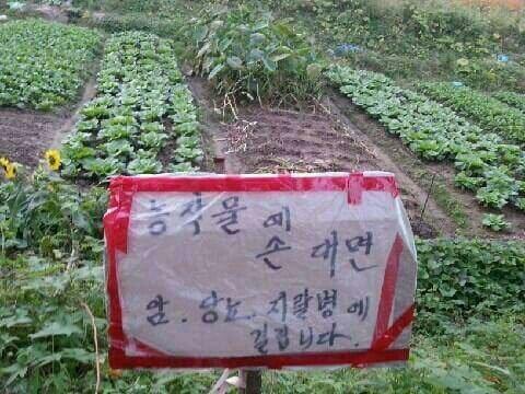심수 이미지