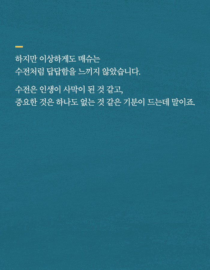 [책소개] 그녀가 남편에게 바람을 폈다고 말한 이유 | 인스티즈