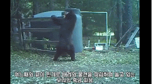 수컷의 고통 | 인스티즈