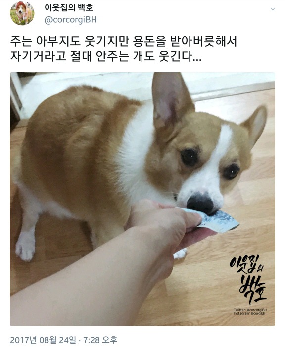 개한테 술먹고 용돈주는 아부지와 그돈으로.. | 인스티즈