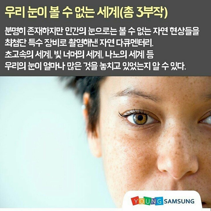 명품 다큐멘터리 10선 | 인스티즈