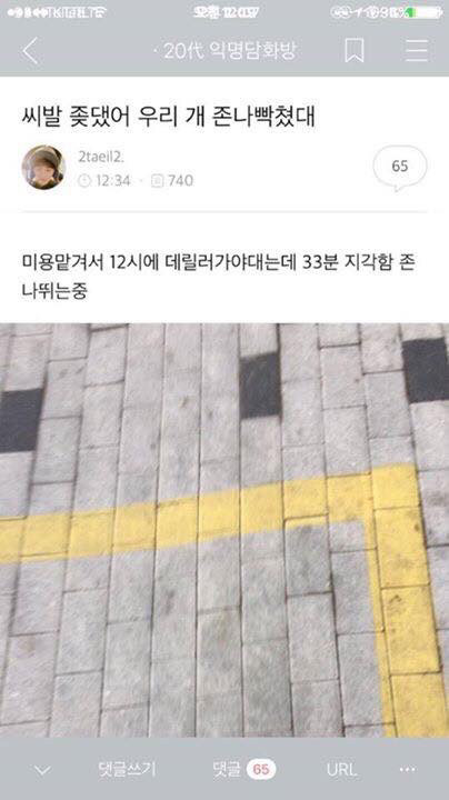 큰일남 우리집 강아지 침.jpg | 인스티즈