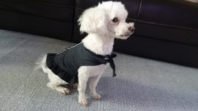 로미카페 이미지