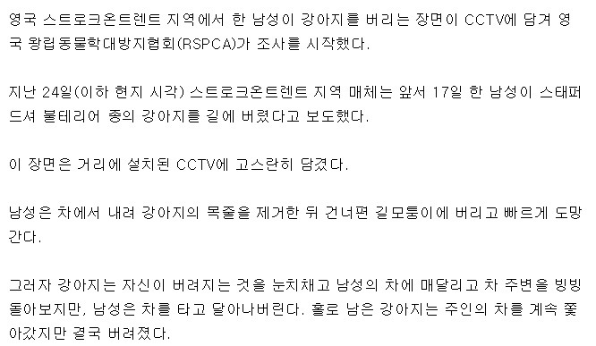 CCTV에 잡힌 버려지는 강아지 | 인스티즈
