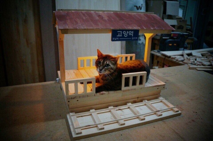 집사의 솜씨 | 인스티즈