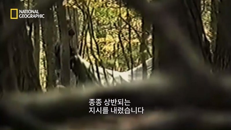 1999년, 새로운 장르의 공포영화가 인터넷을 통해 홍보되다 | 인스티즈