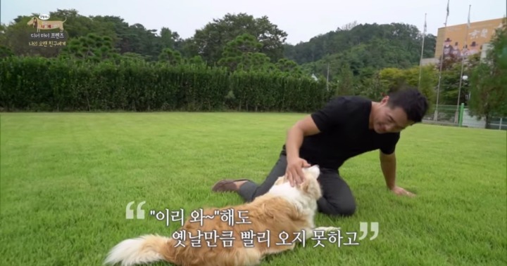 [세나개] 여러분에게 노견은 어떤 의미인가요? | 인스티즈
