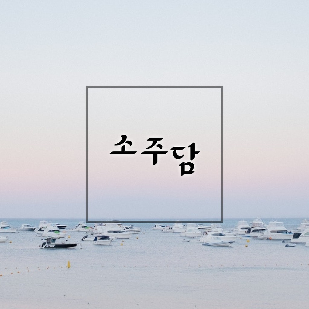 단 4장 만으로 짱덕사 가능한 BBC 살쾡이 다큐.jpg | 인스티즈